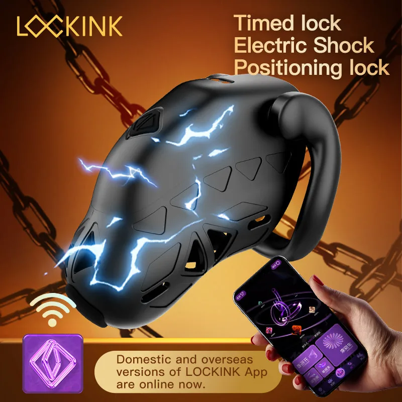 lockink for smart cages
